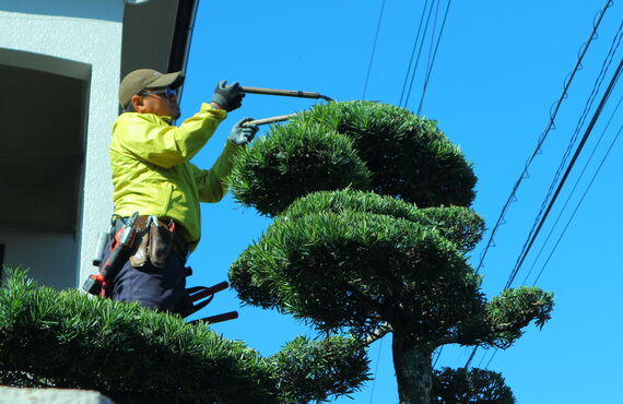 坂戸市でお庭の手入れ・外構・エクステリアについて困っていることがございましたらまずはお問い合わせください。