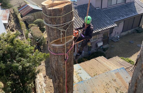 坂戸市で特殊伐採（建物に近く倒木の危険がある）・難所木剪定（屋根にかかった枝が気になる）をお願いしたい。