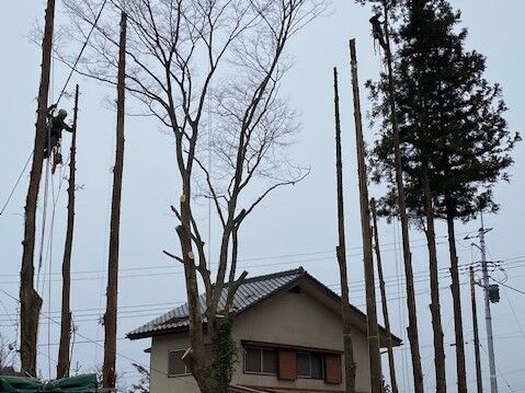 IMG_2243 (2)