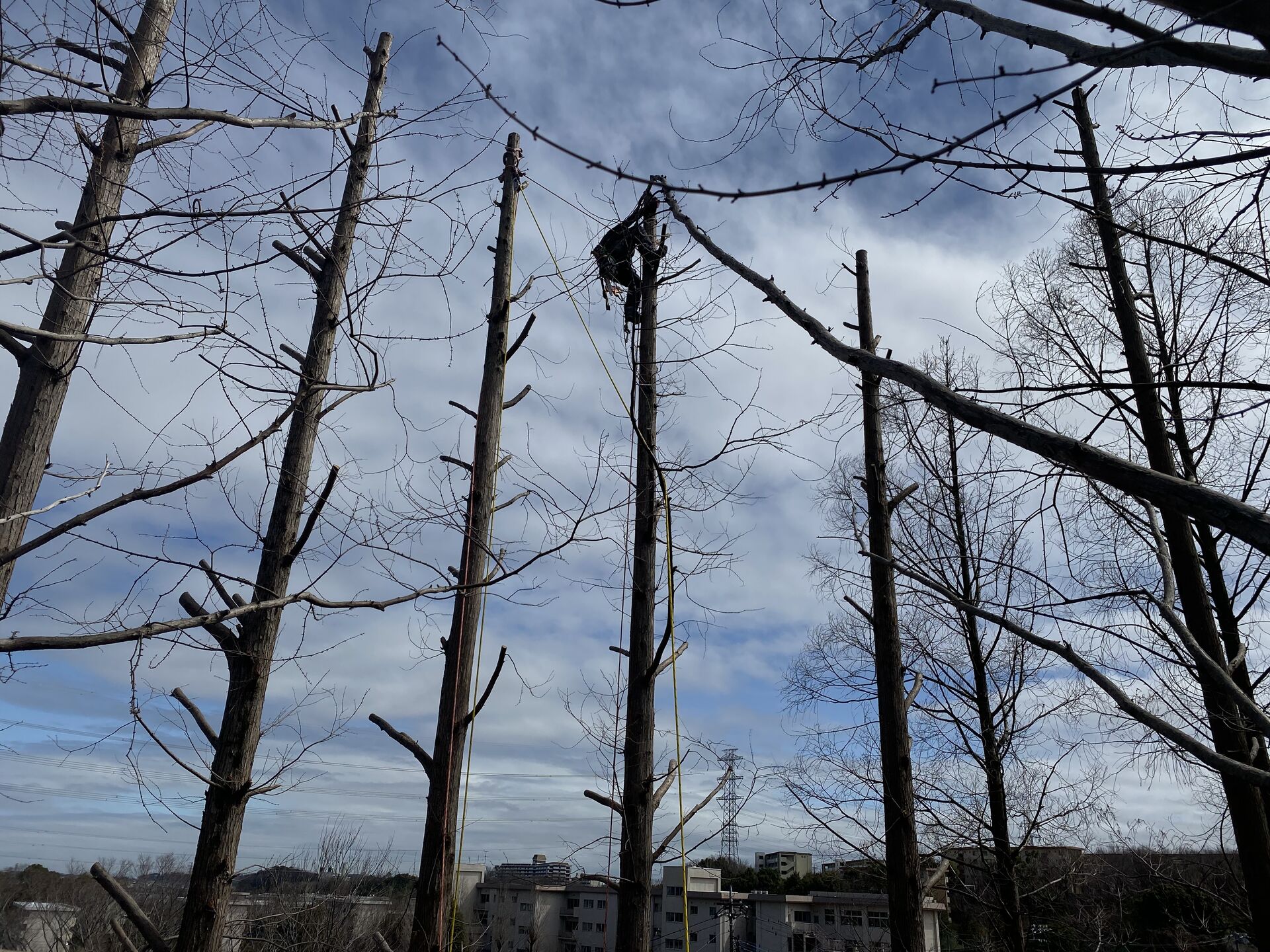 IMG_0276