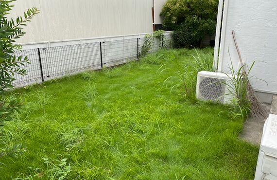 坂戸市で雑草・芝刈りでお困りの方ご相談下さい。