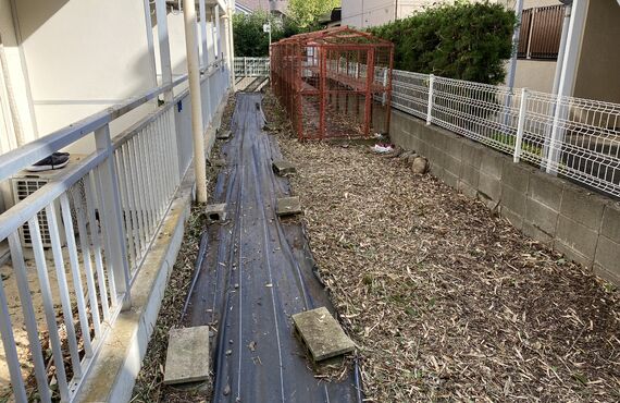 川越市でお庭の雑草にお困りの方、木房樹にご相談下さい。