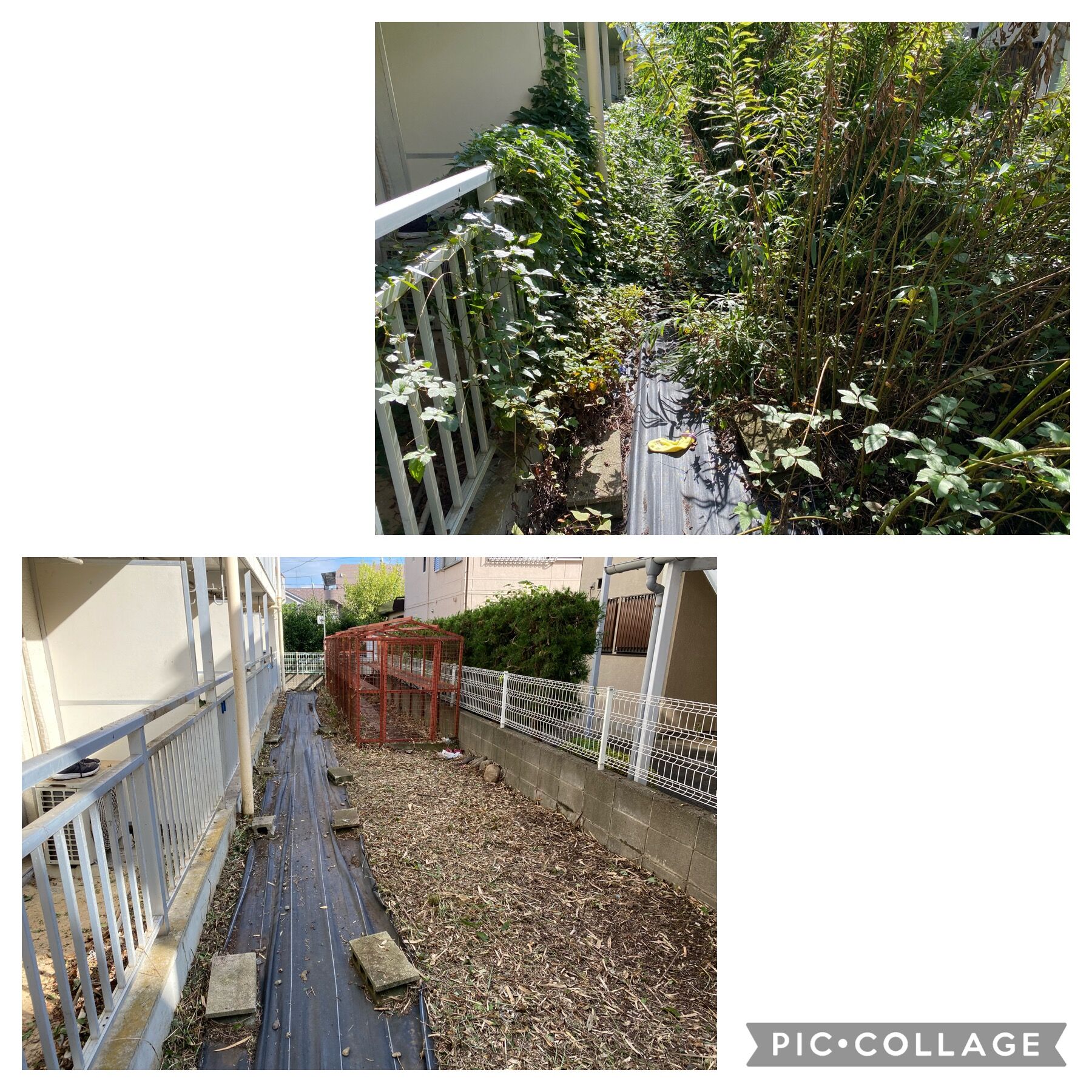 image2 (2)