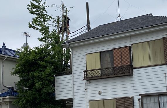 東松山市で高木の剪定・伐採・抜根をお考えの方、是非とも木房樹にお問い合わせください。