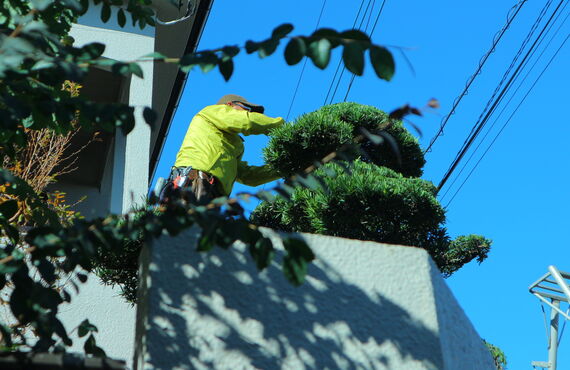 上尾市の庭木剪定・伐採をお探しの方へ｜木房樹